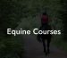Equine Courses