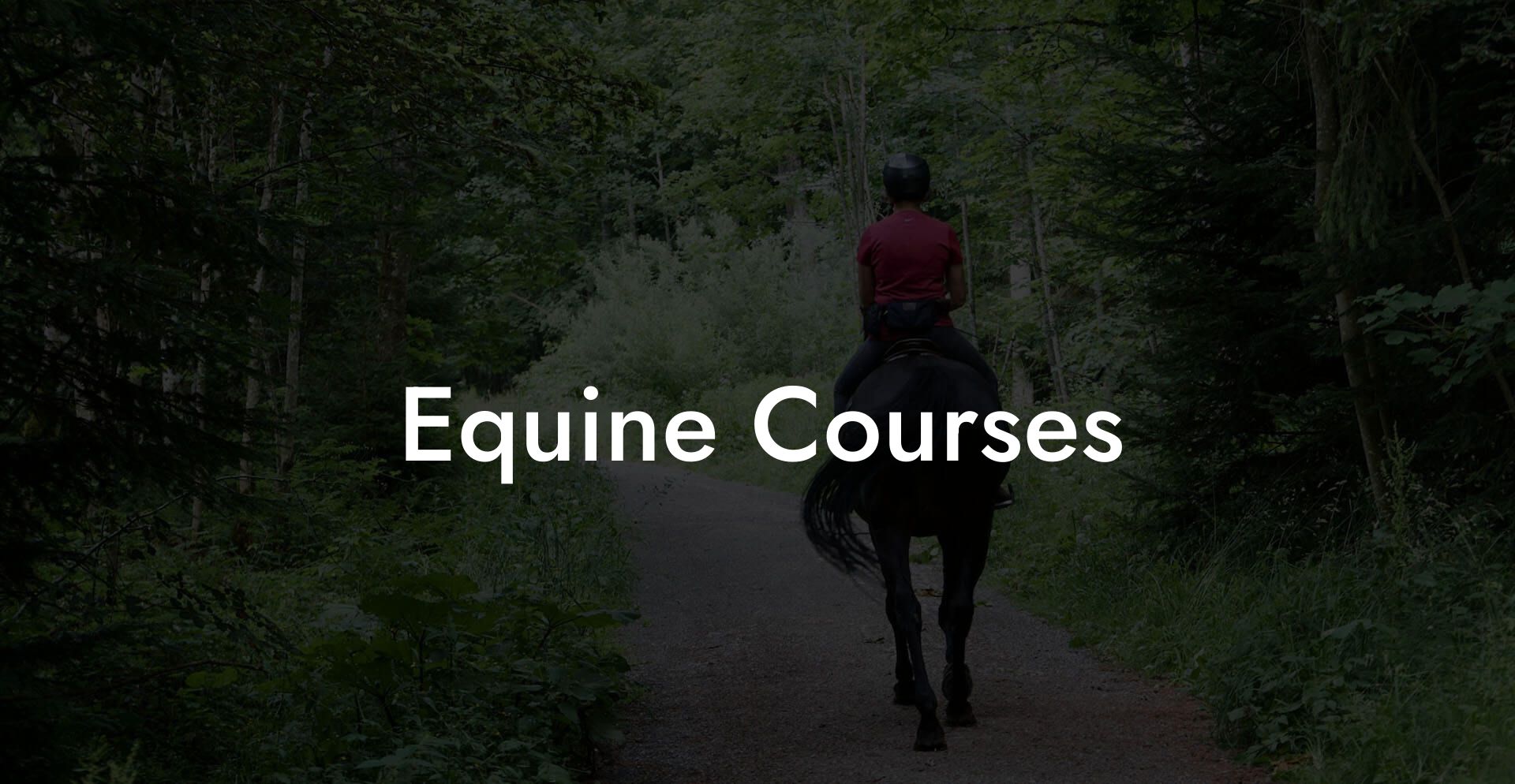 Equine Courses