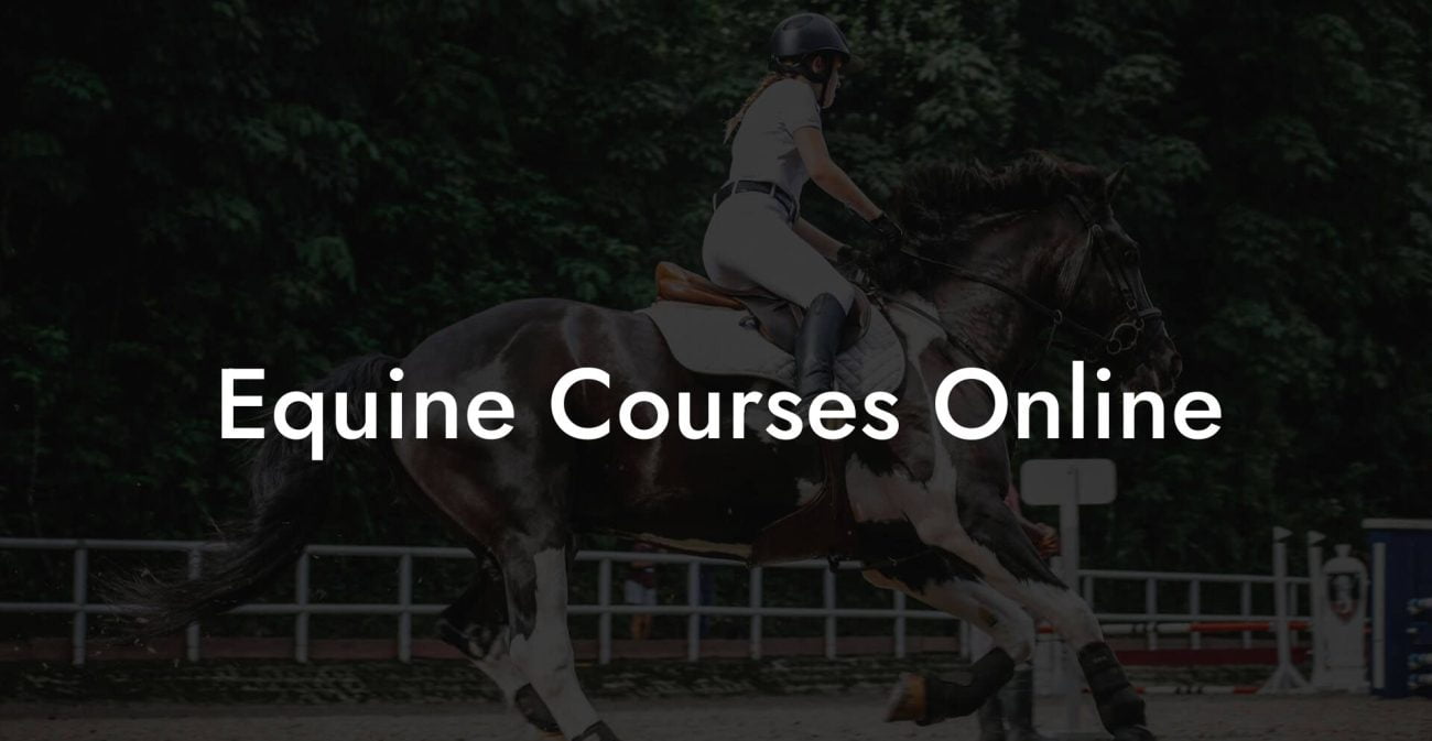 Equine Courses Online