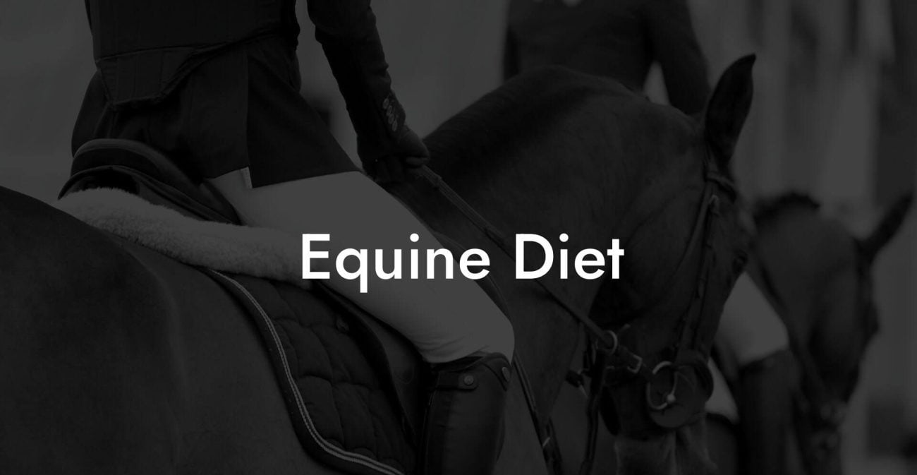 Equine Diet