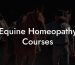Equine Homeopathy Courses