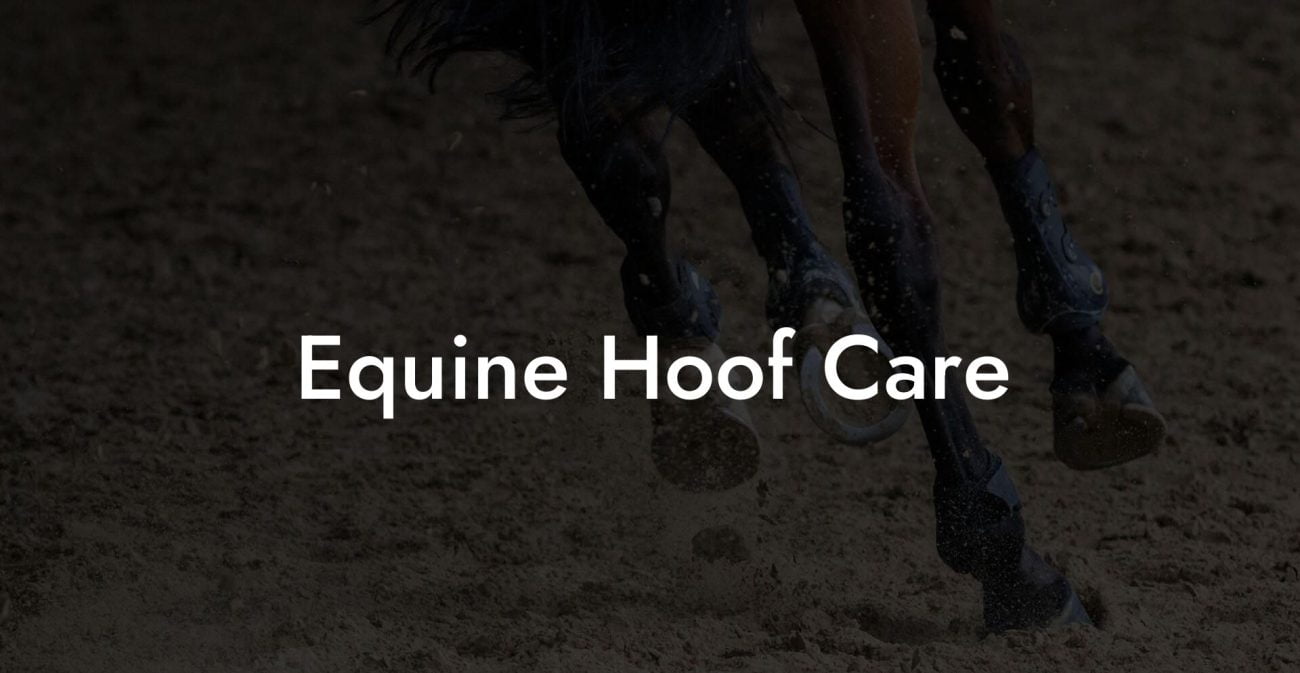 Equine Hoof Care