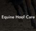Equine Hoof Care