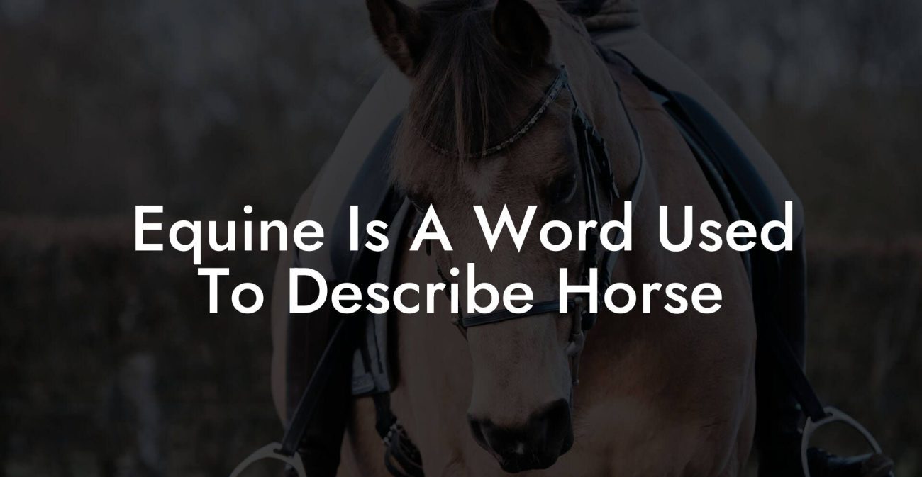 Equine Is A Word Used To Describe Horse