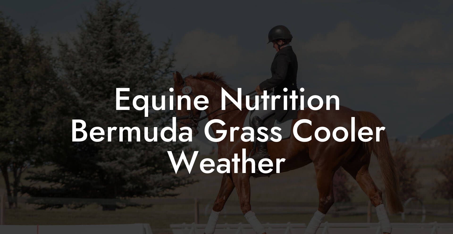 Equine Nutrition Bermuda Grass Cooler Weather