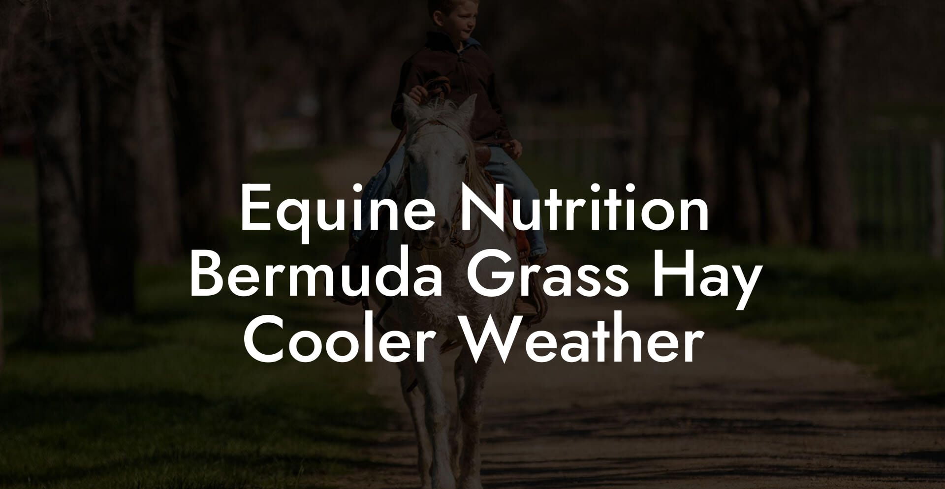 Equine Nutrition Bermuda Grass Hay Cooler Weather