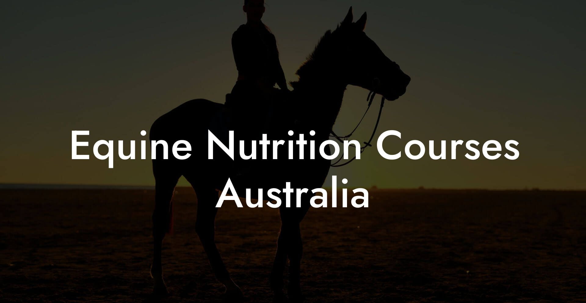 Equine Nutrition Courses Australia