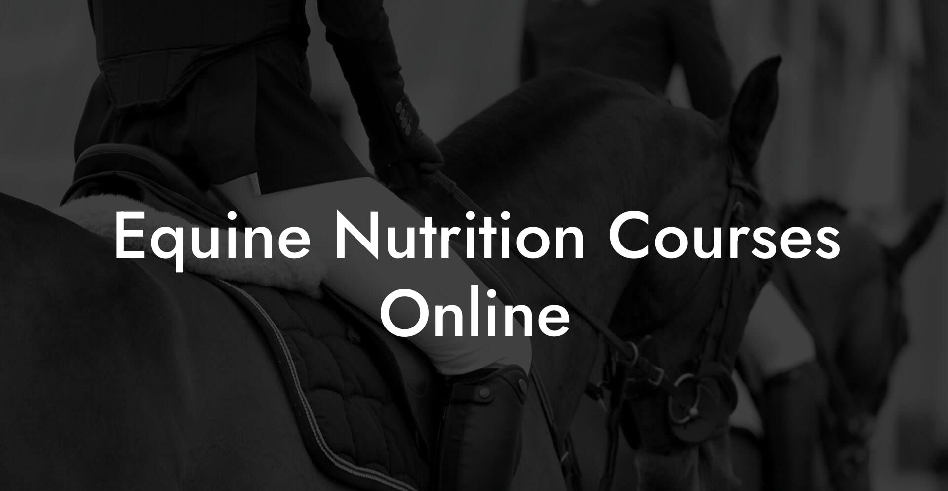 Equine Nutrition Courses Online