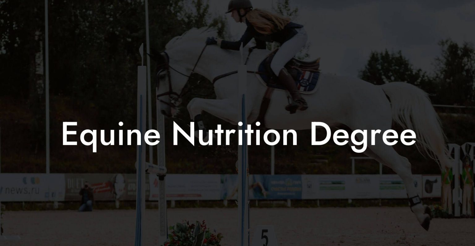 Equine Nutrition Degree How To Own a Horse
