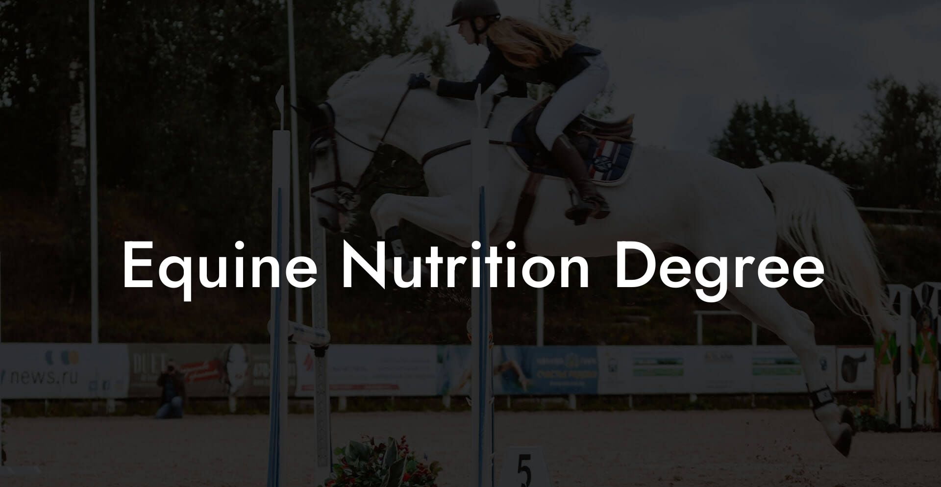 Equine Nutrition Degree