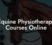 Equine Physiotherapy Courses Online
