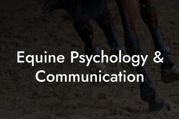 Equine Psychology & Communication