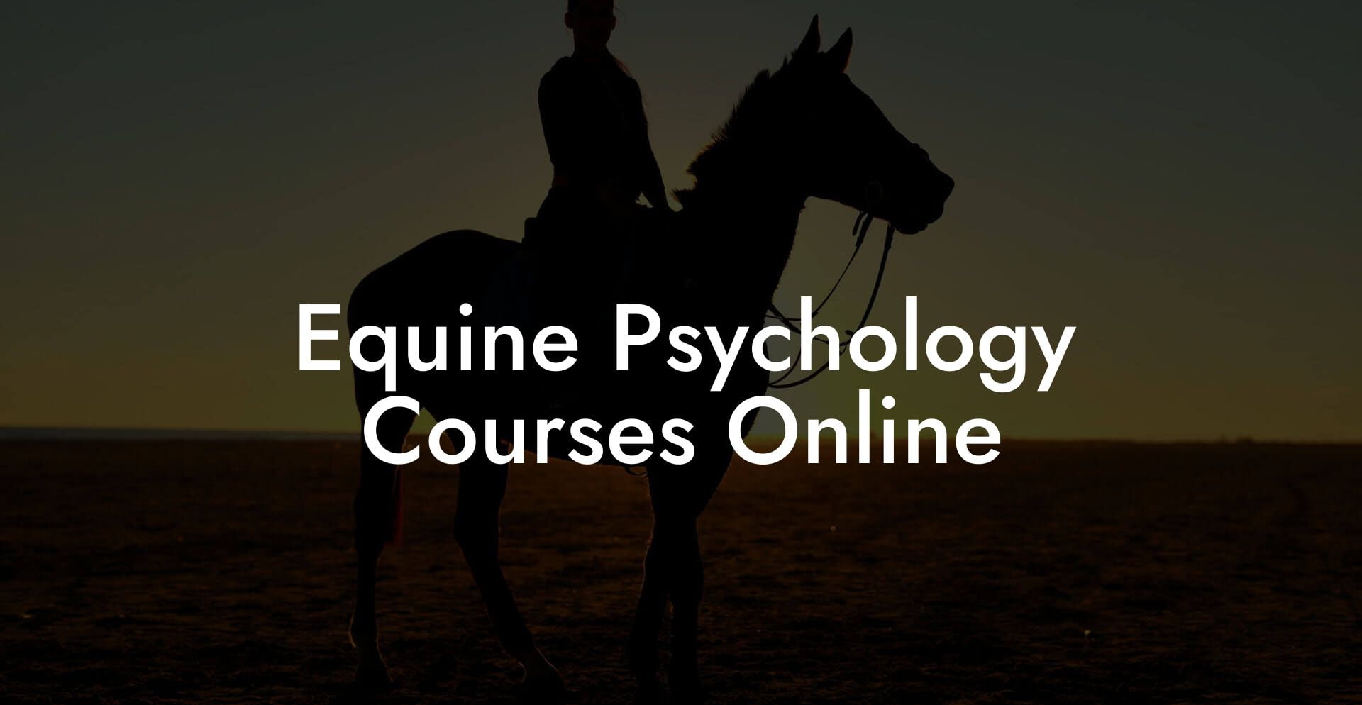 Equine Psychology Courses Online