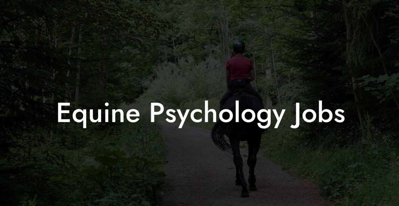 Equine Psychology Jobs