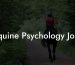 Equine Psychology Jobs