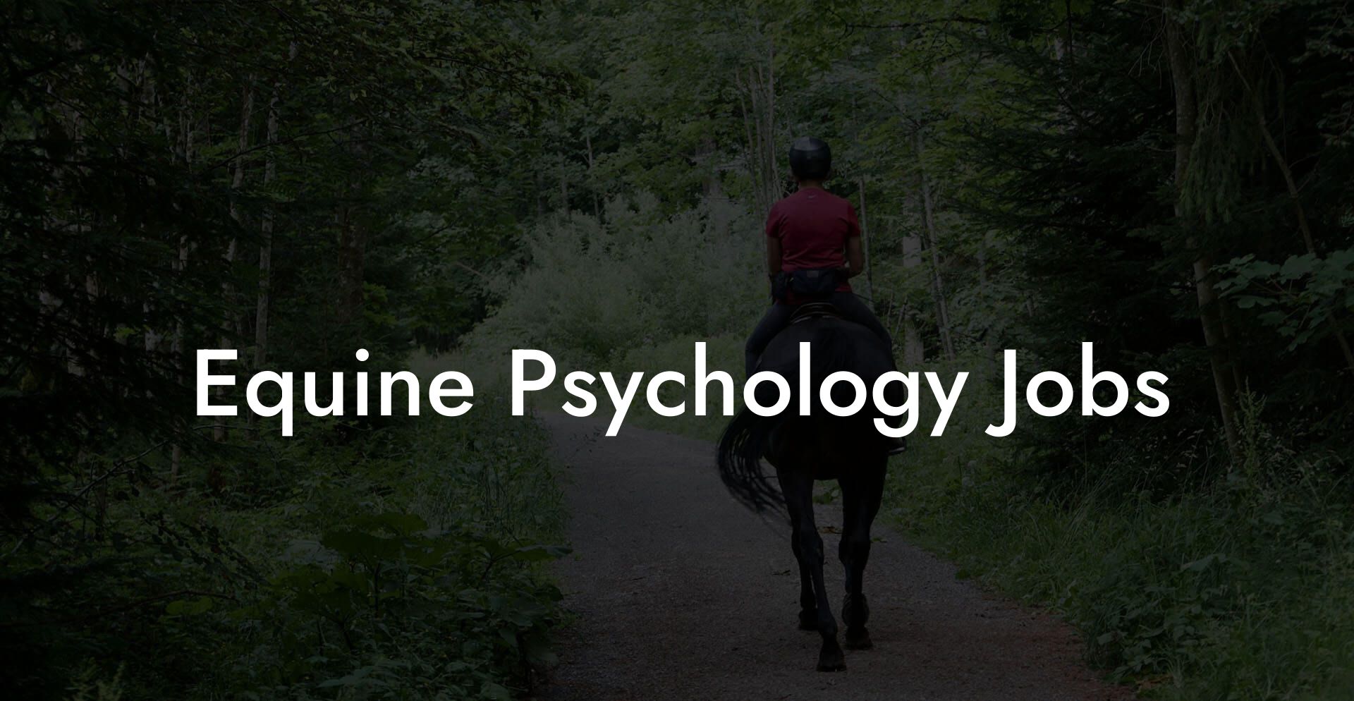 Equine Psychology Jobs