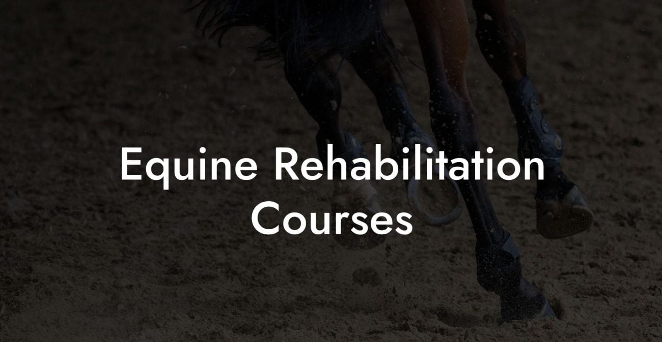 Equine Rehabilitation Courses