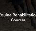Equine Rehabilitation Courses