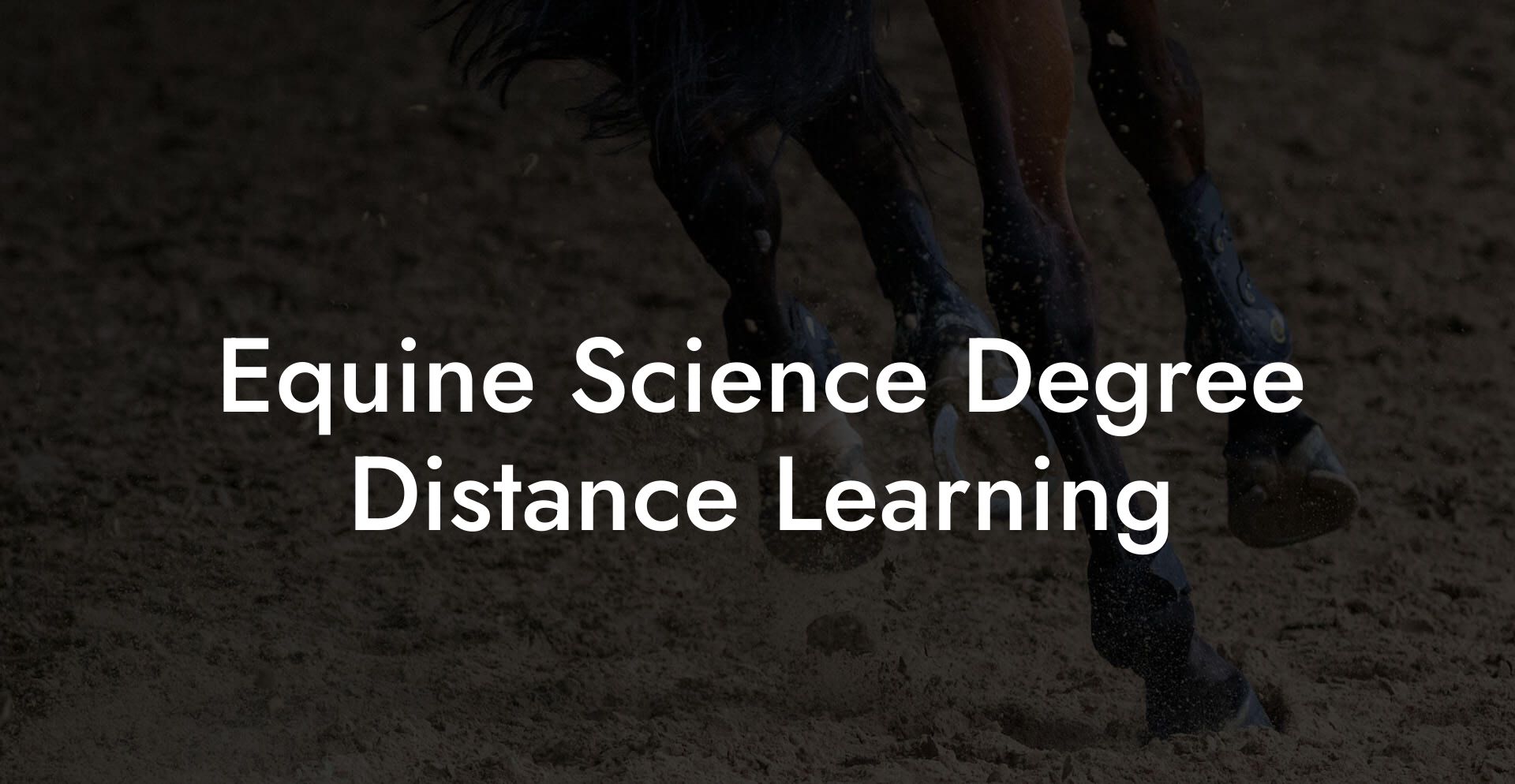 Equine Science Degree Distance Learning