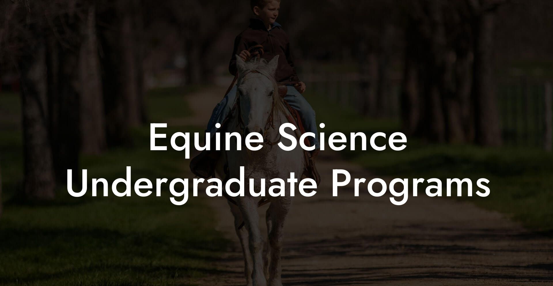 Equine Science Undergraduate Programs