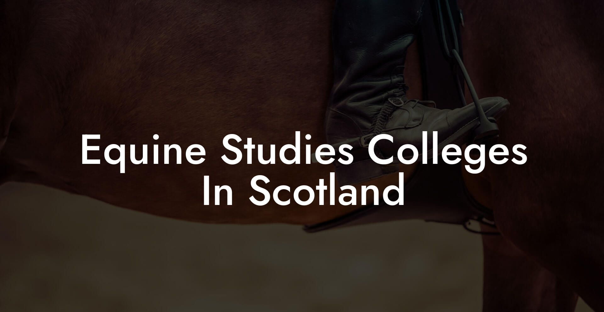 Equine Studies Colleges In Scotland