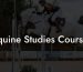 Equine Studies Courses