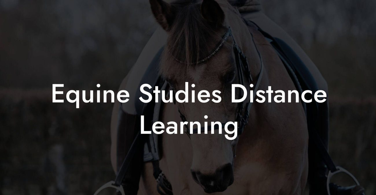 Equine Studies Distance Learning