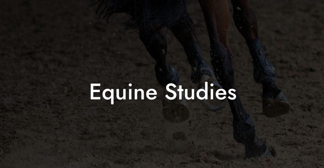 Equine Studies