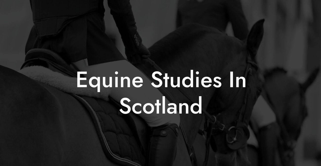 Equine Studies In Scotland