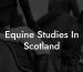 Equine Studies In Scotland