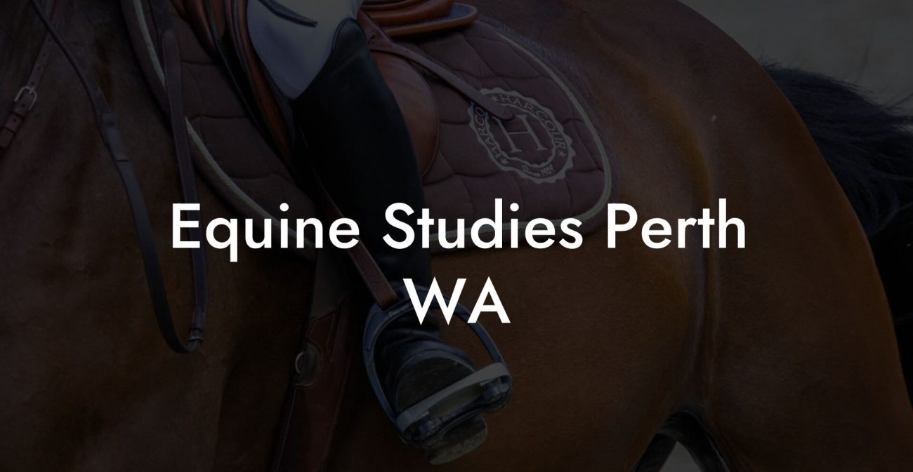 Equine Studies Perth WA