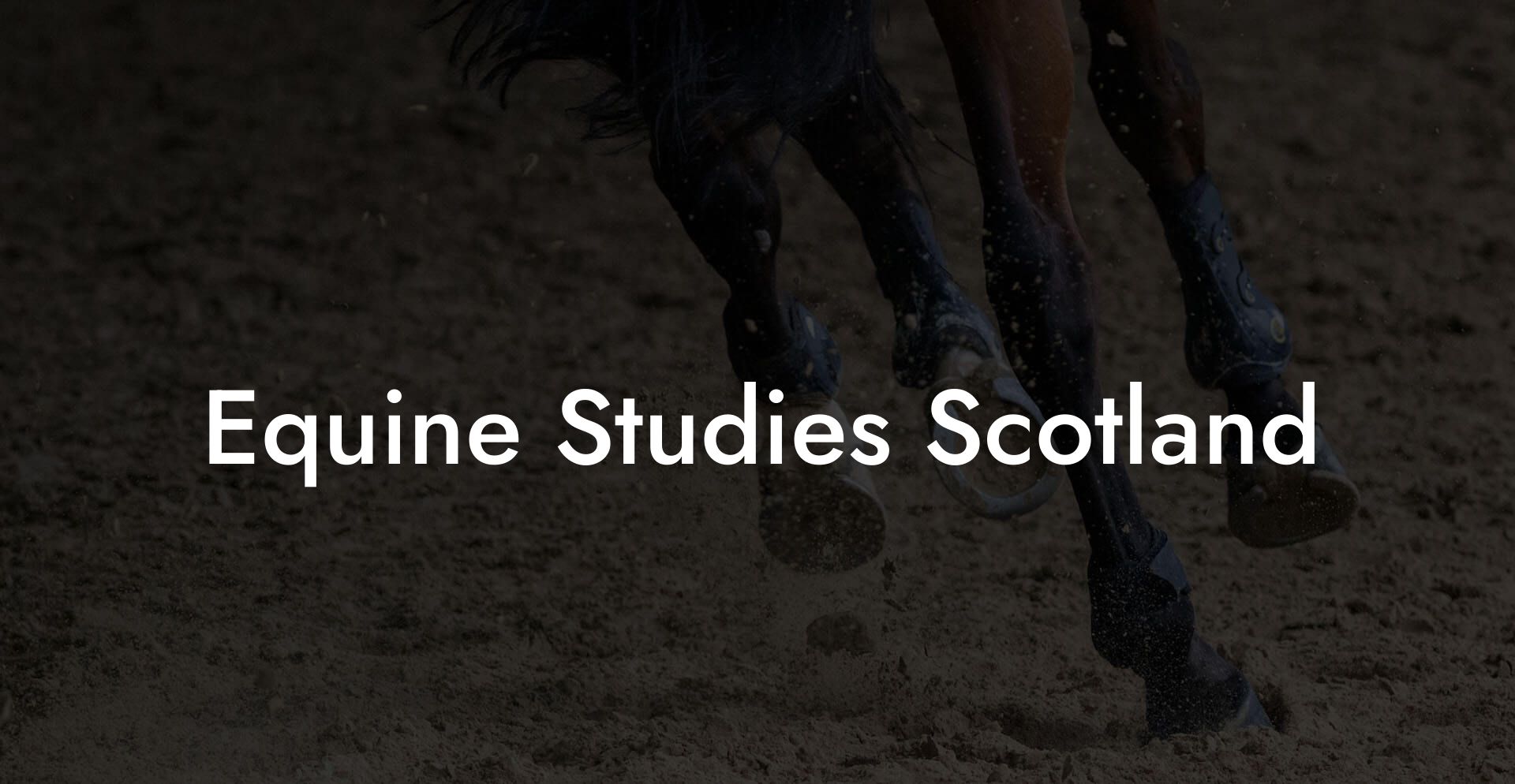 Equine Studies Scotland