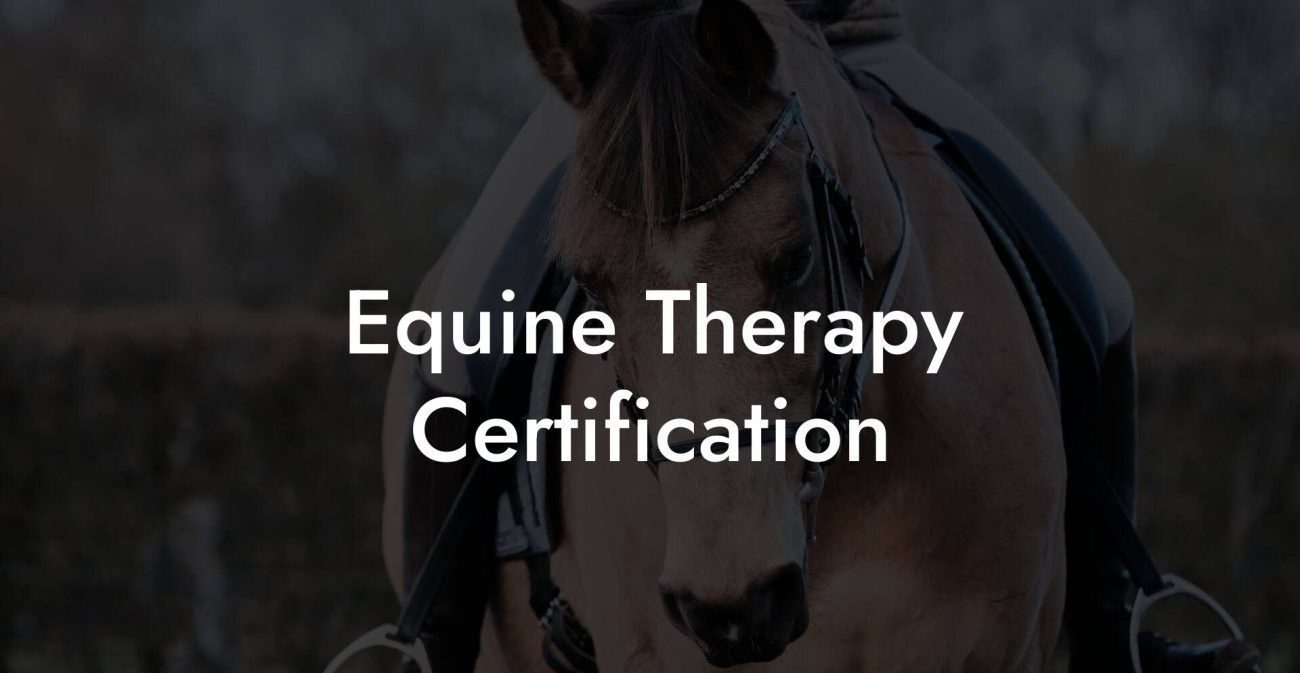 Equine Therapy Certification