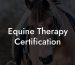 Equine Therapy Certification