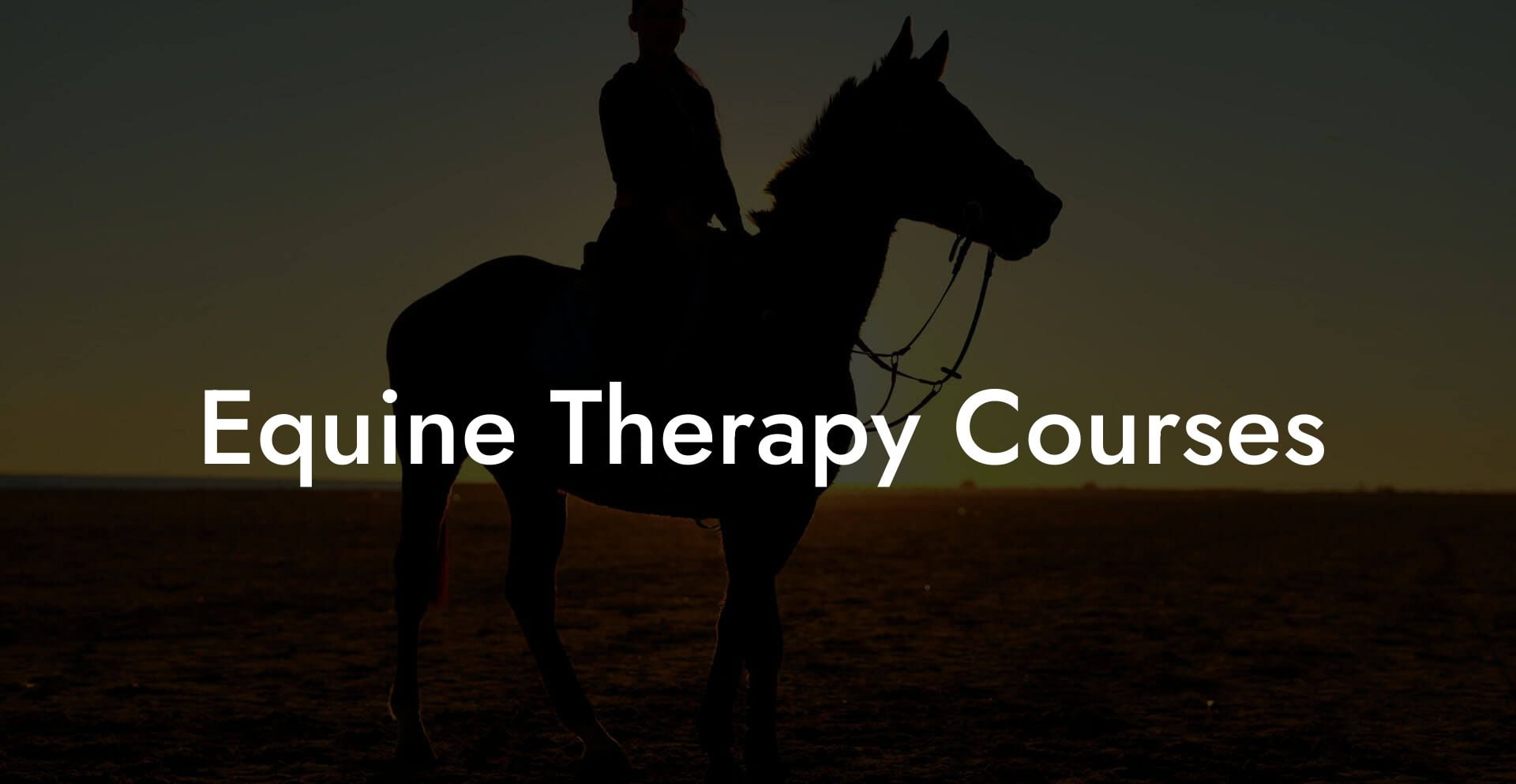 Equine Therapy Courses