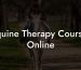 Equine Therapy Courses Online