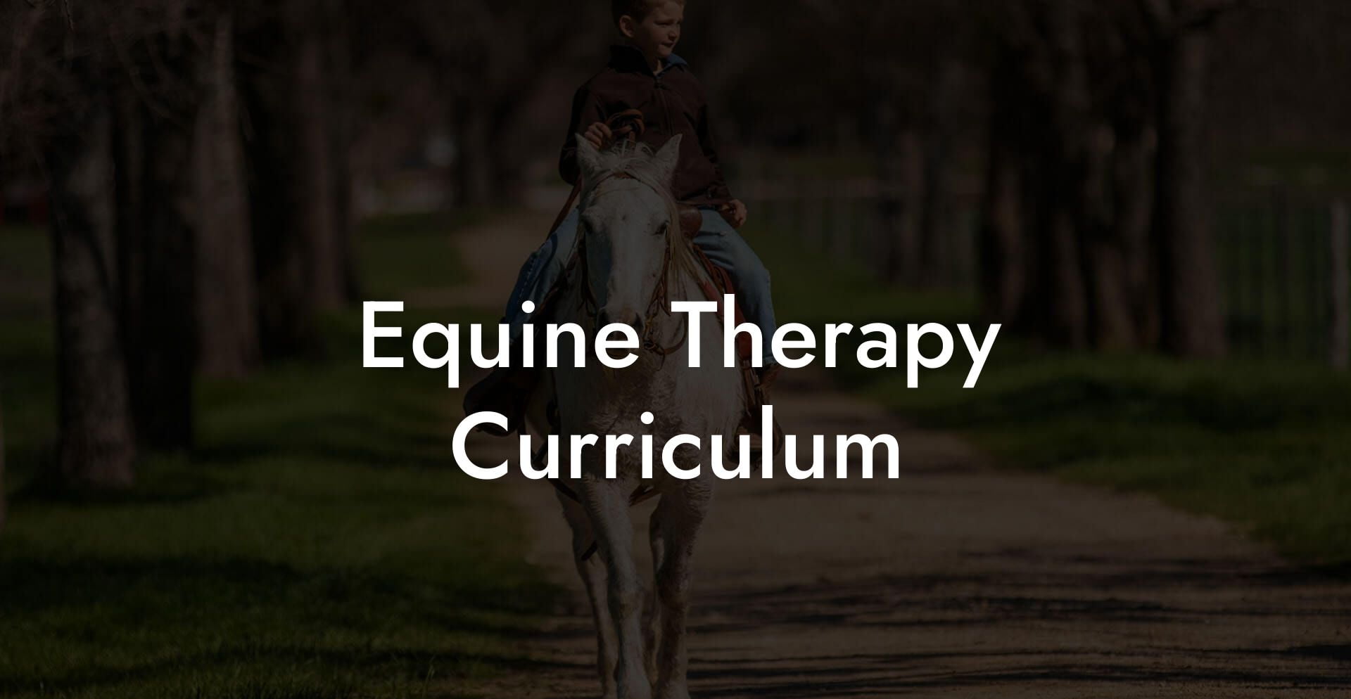 Equine Therapy Curriculum