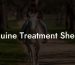 Equine Treatment Sheets