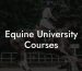 Equine University Courses