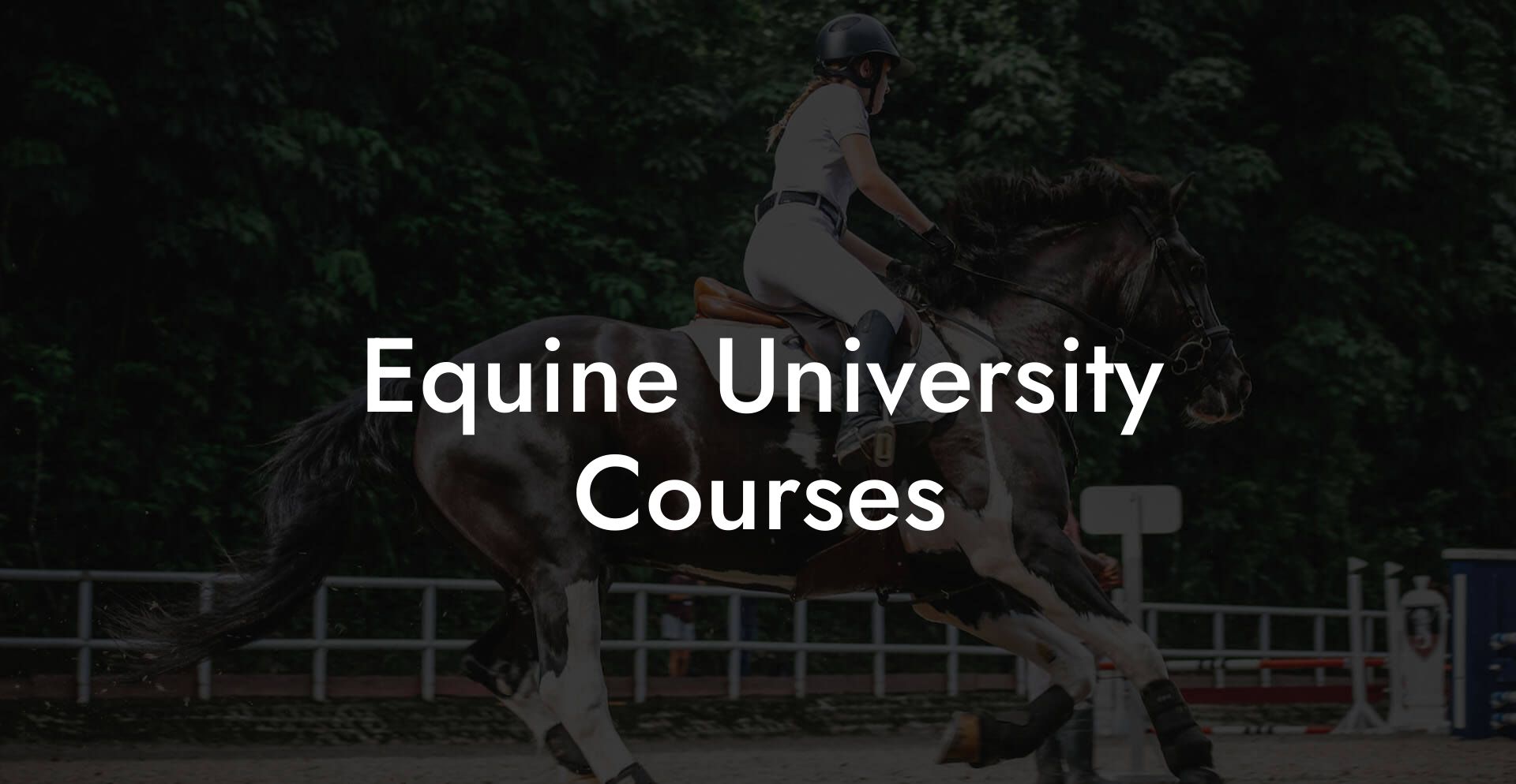 Equine University Courses