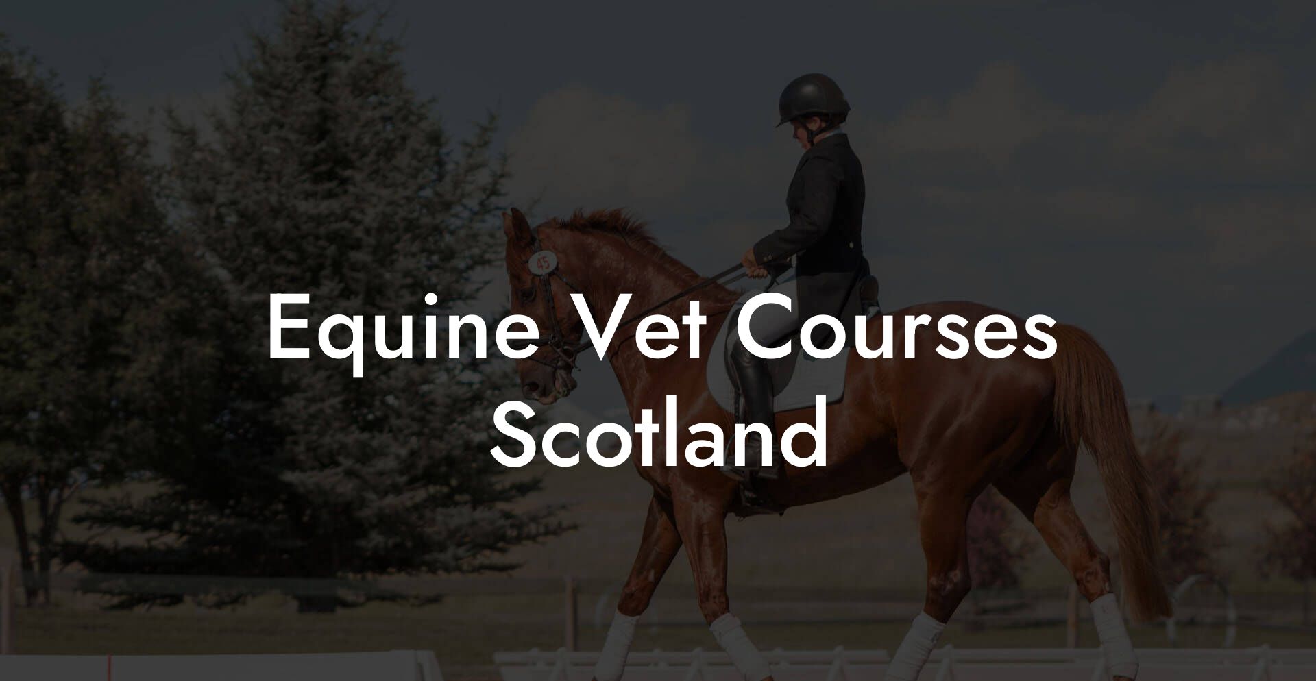 Equine Vet Courses Scotland