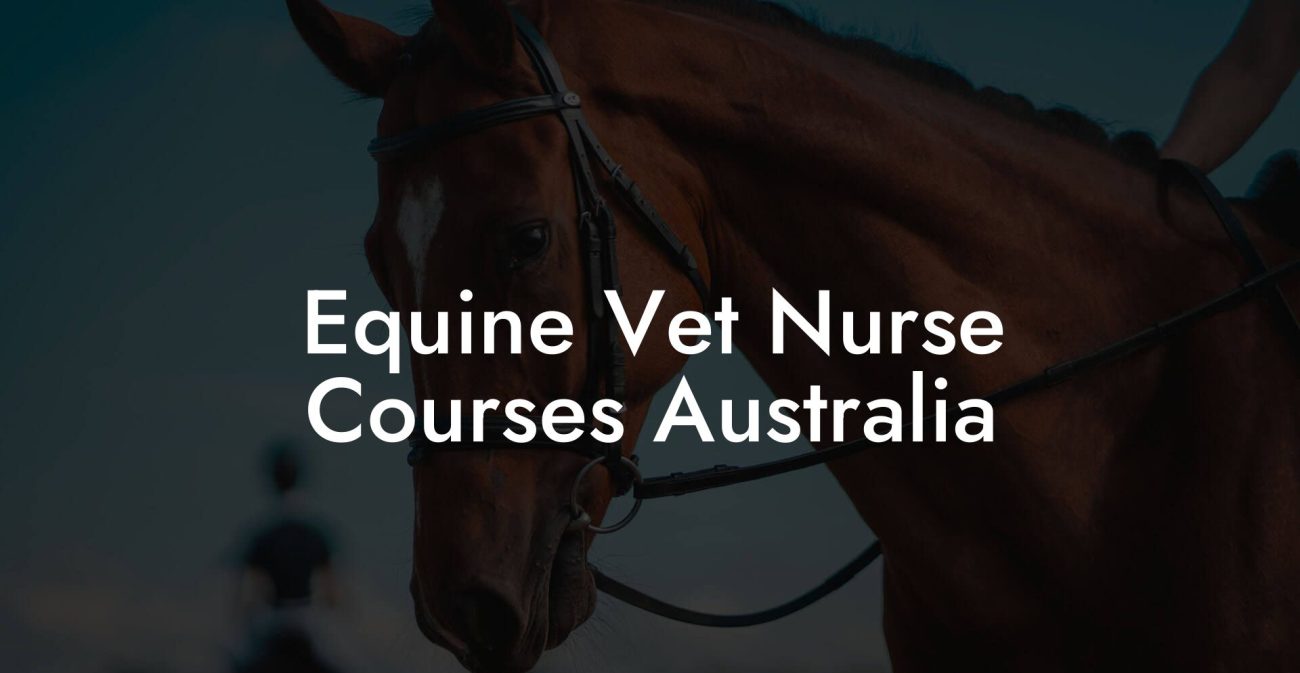 Equine Vet Nurse Courses Australia