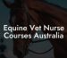 Equine Vet Nurse Courses Australia