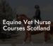 Equine Vet Nurse Courses Scotland