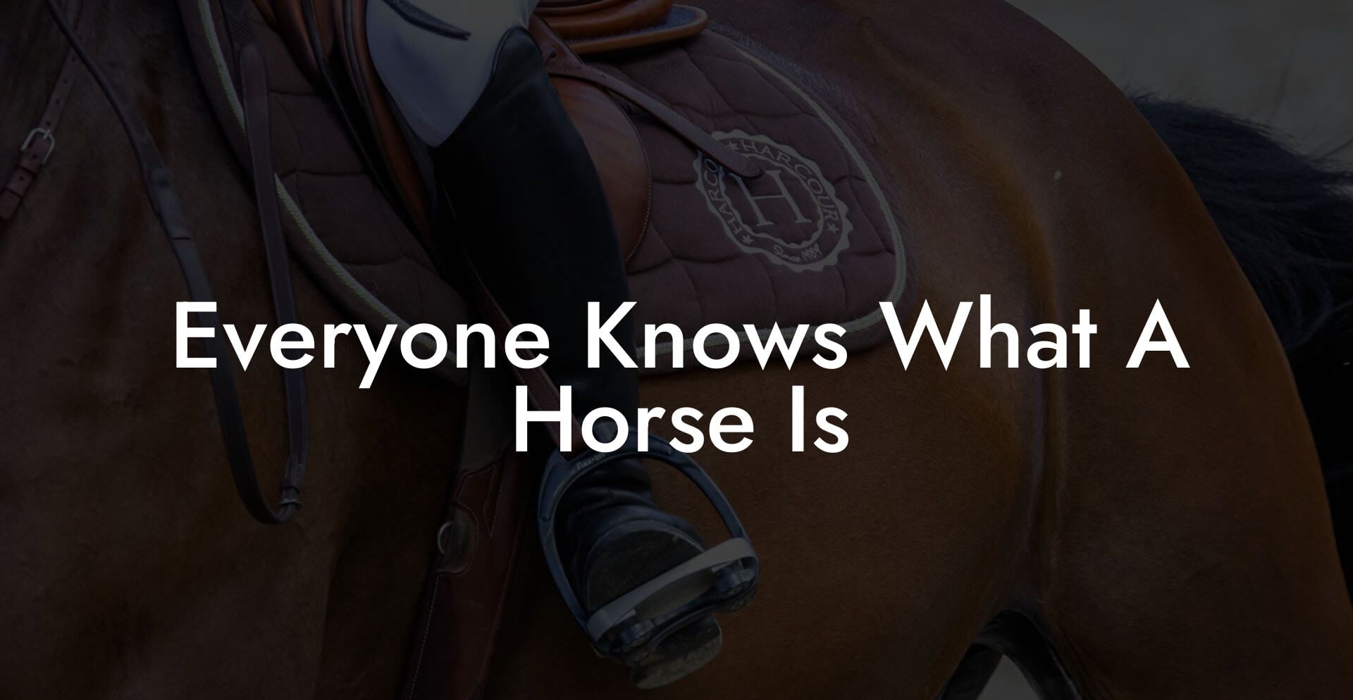 Everyone Knows What A Horse Is