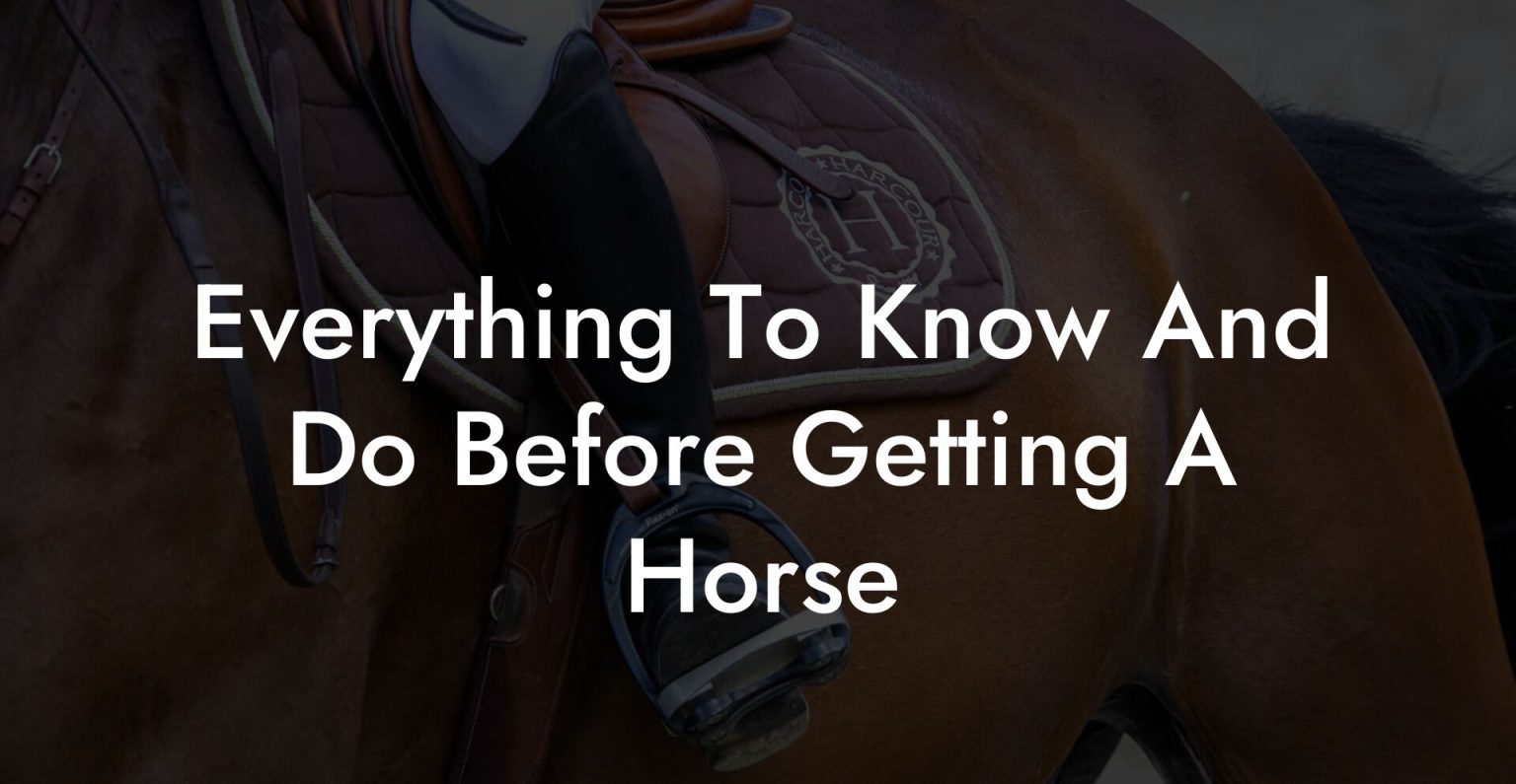 Everything To Know And Do Before Getting A Horse How To Own a Horse