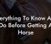 Everything To Know And Do Before Getting A Horse
