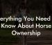 Everything You Need To Know About Horse Ownership