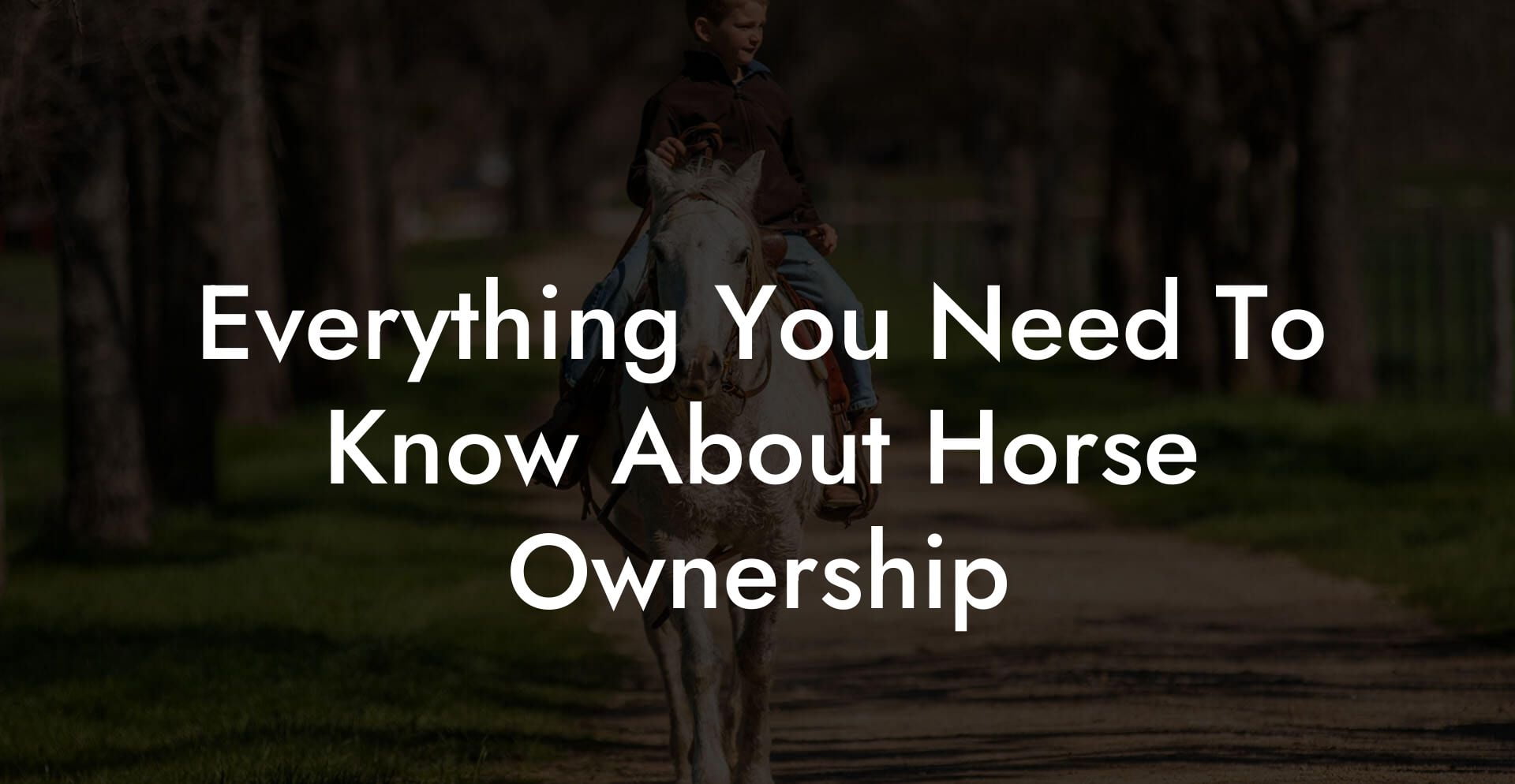 Everything You Need To Know About Horse Ownership