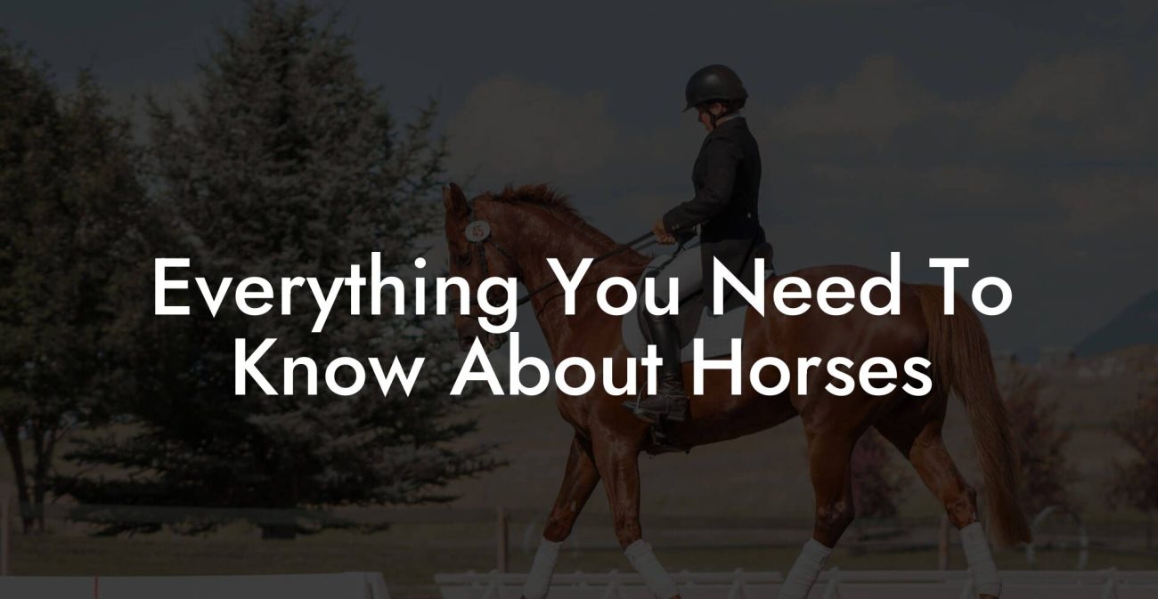 Everything You Need To Know About Horses